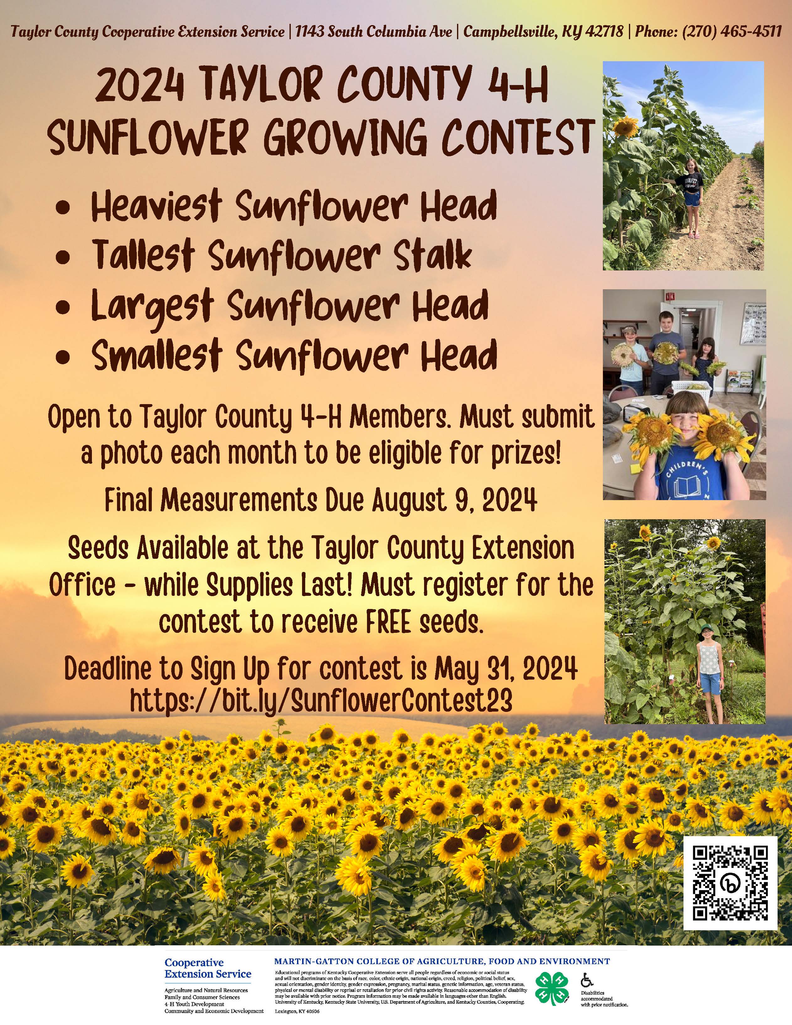 sunflower contest