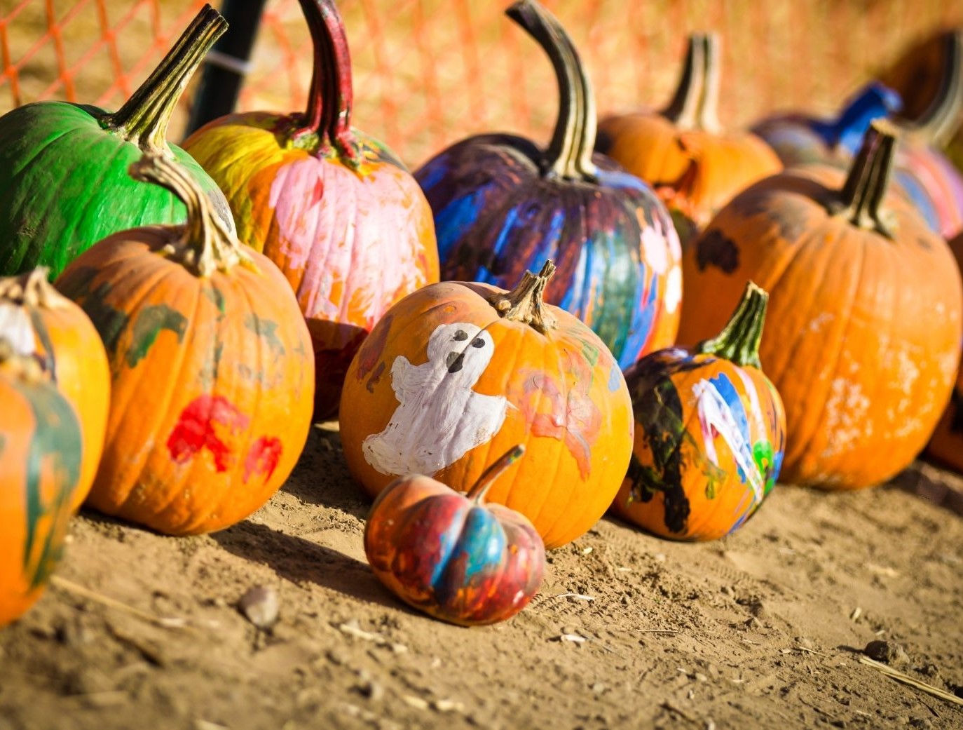 Pumpkin Painting