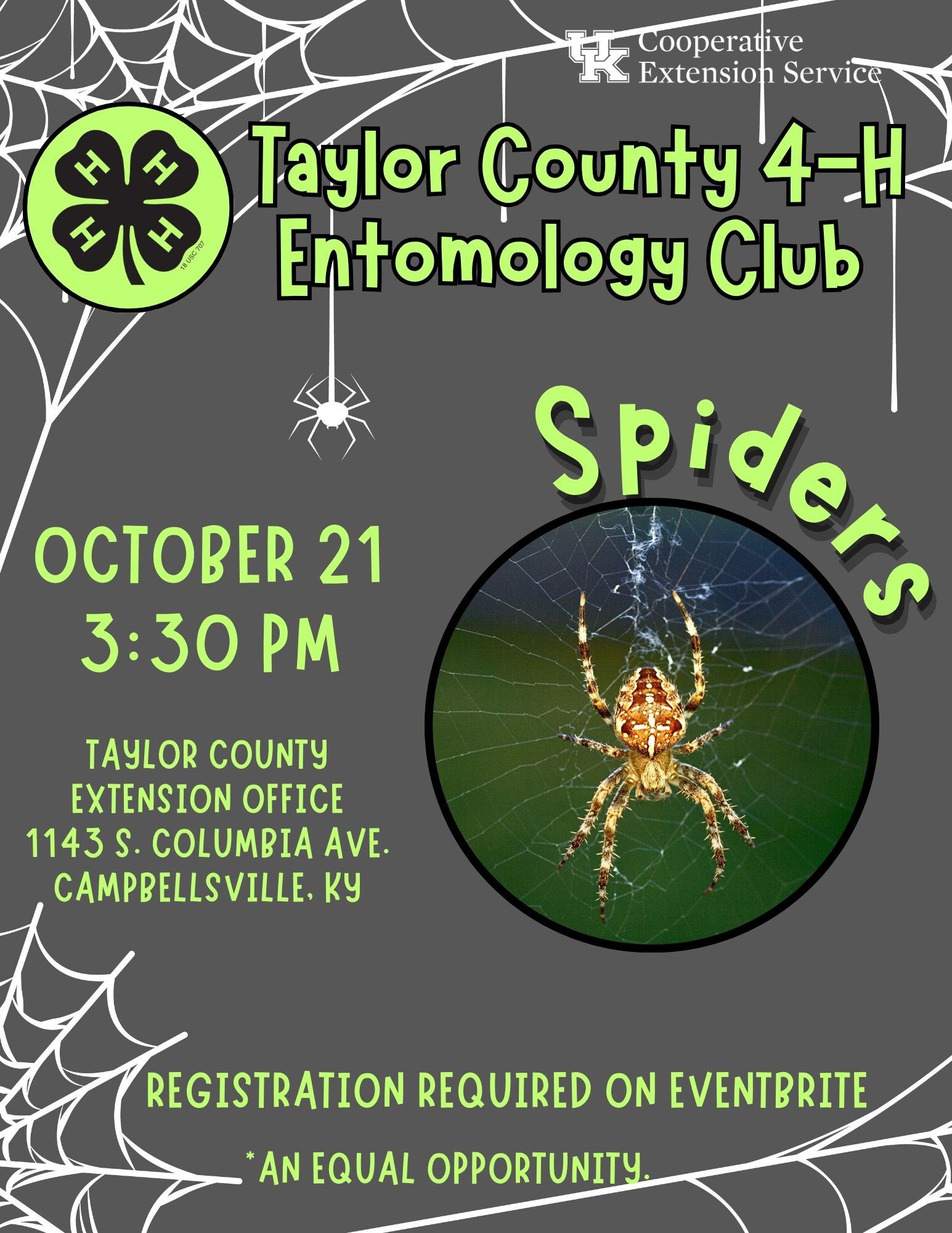 4-H Entomology Club Spiders