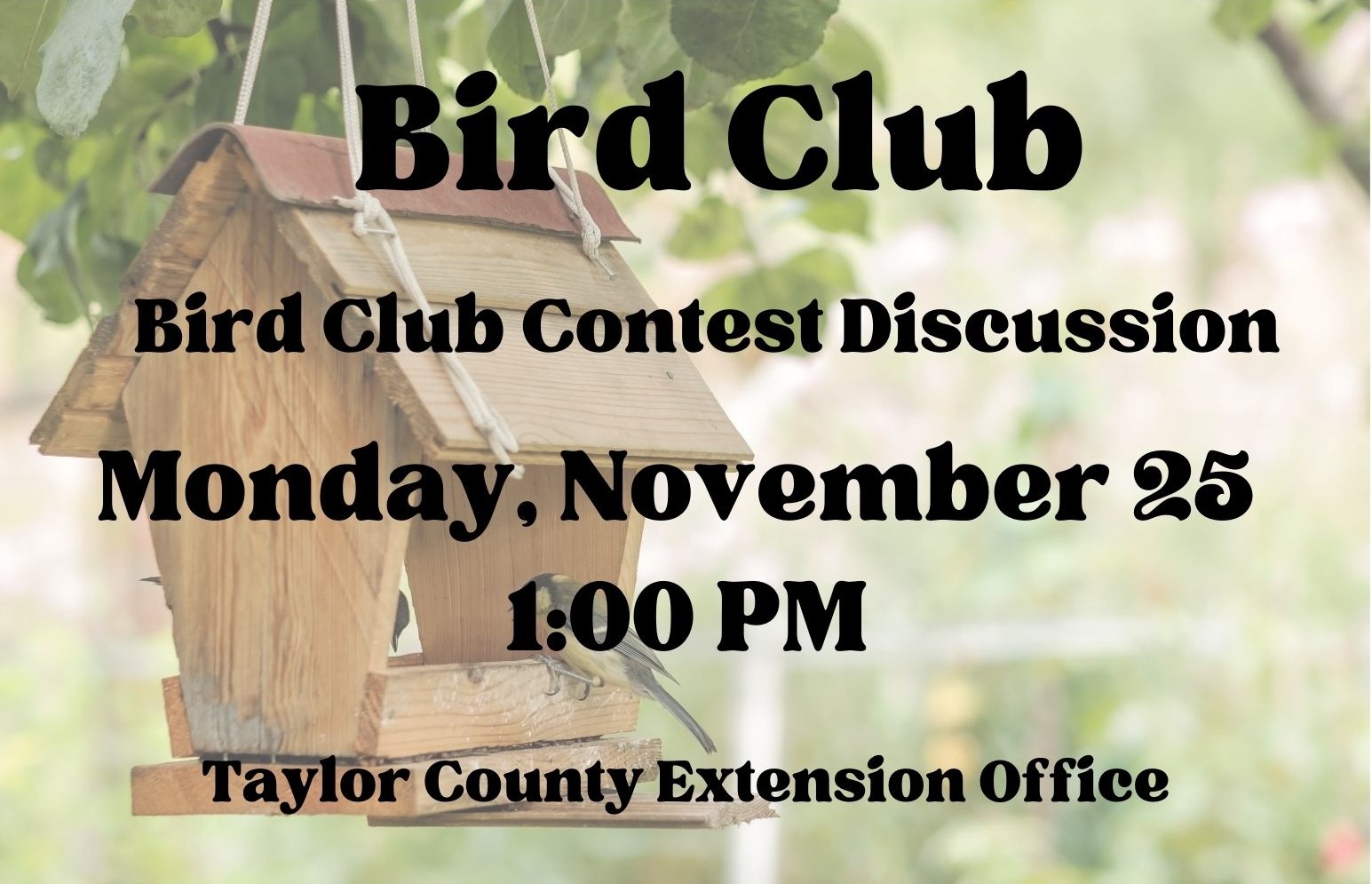 November Bird Club