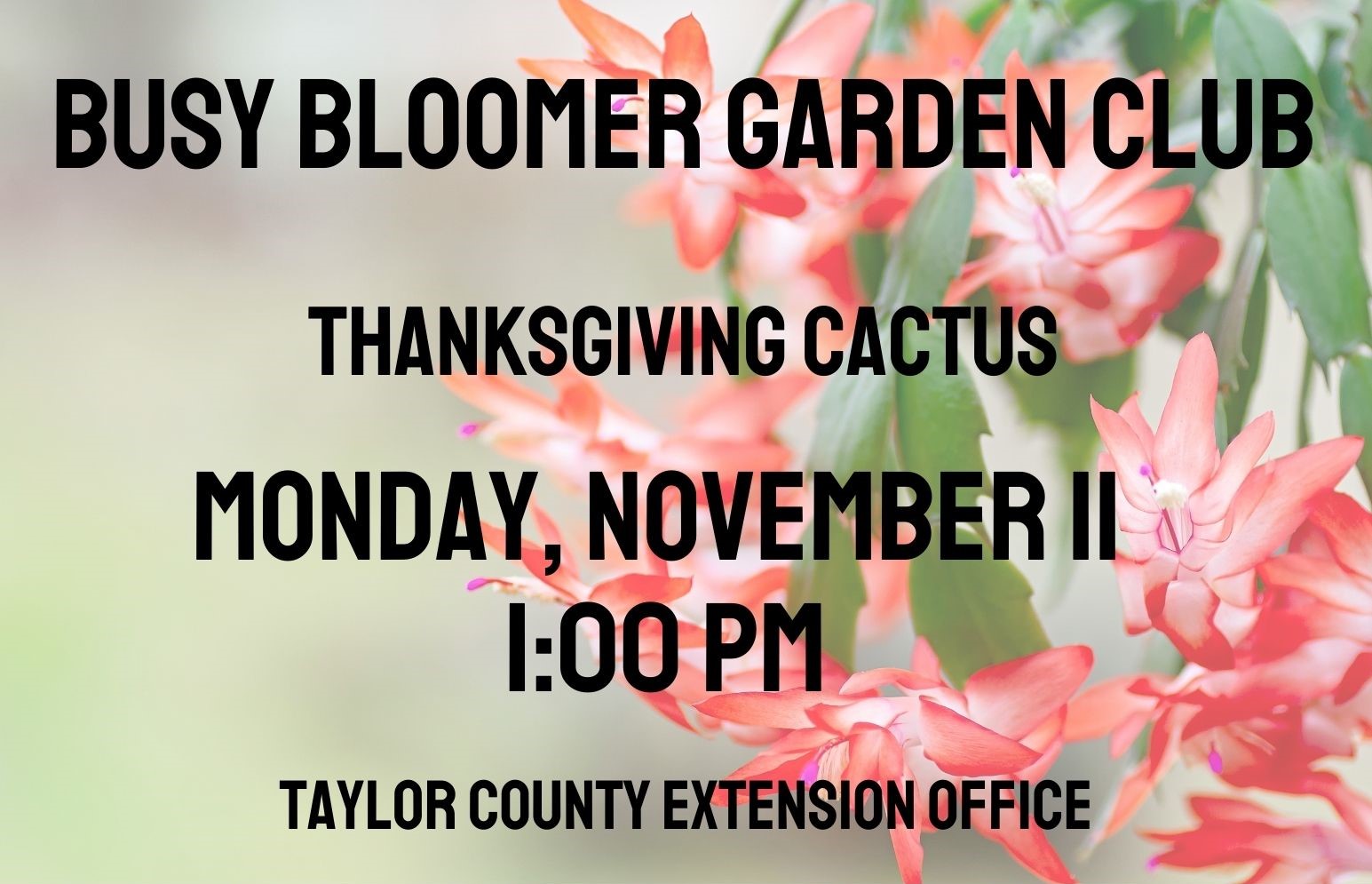 November Busy Bloomer