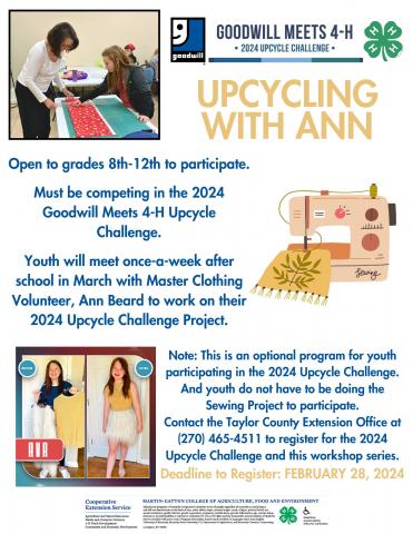 upcycling with ann